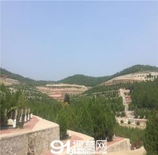 陵园风景图-5