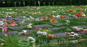 陵园风景图-1