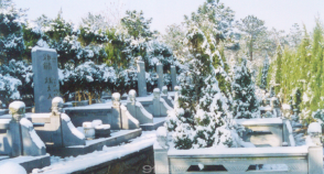 陵园风景图-3