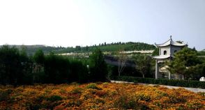 陵园风景图-6
